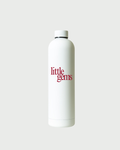 Ion 750mL Insulated Bottle